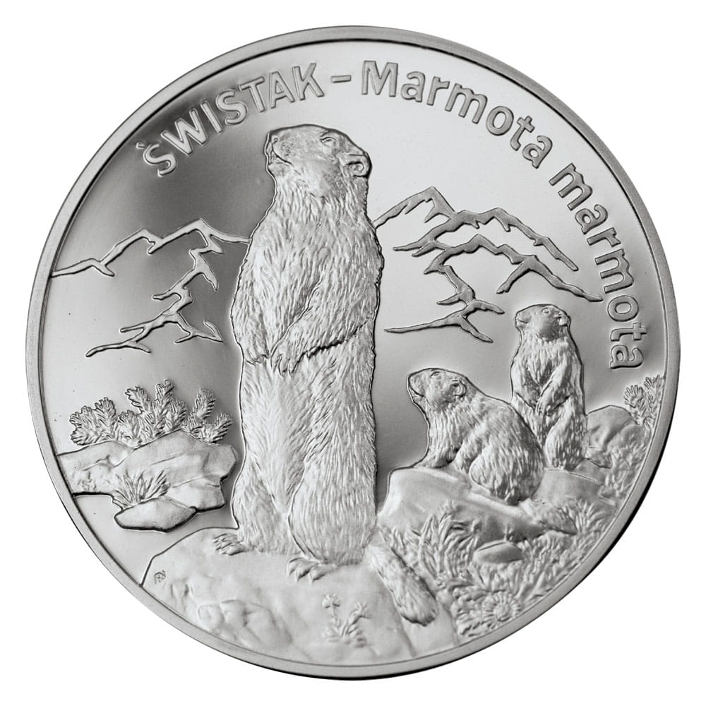 20 zł / 2006 r. - Świstak (łac. Marmota marmota)