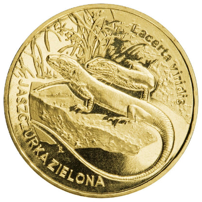 2 zł / 2009 r. - Jaszczurka Zielona