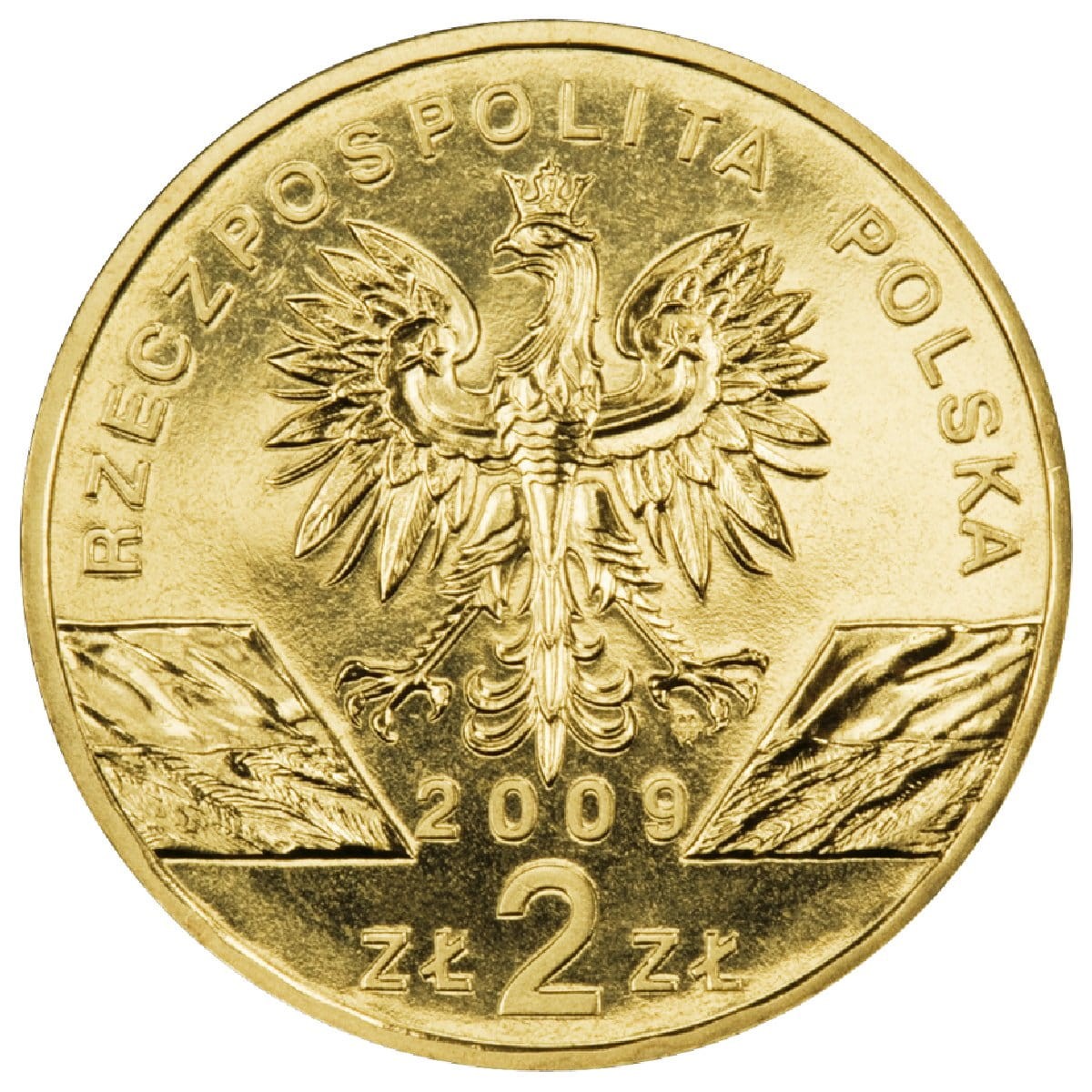 2 zł / 2009 r. - Jaszczurka Zielona